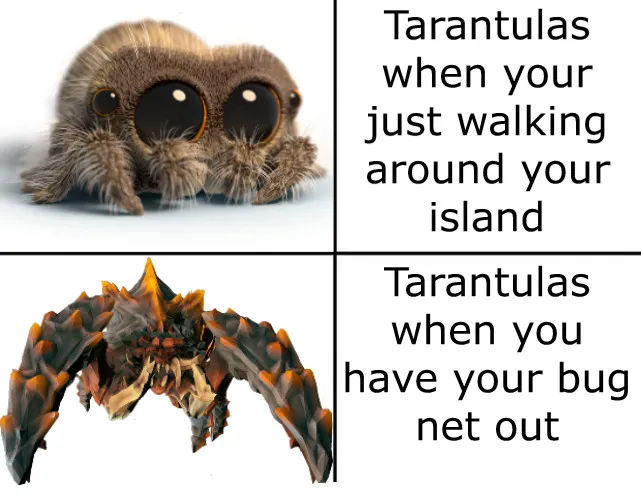 16914 animal crossing tarantula approach