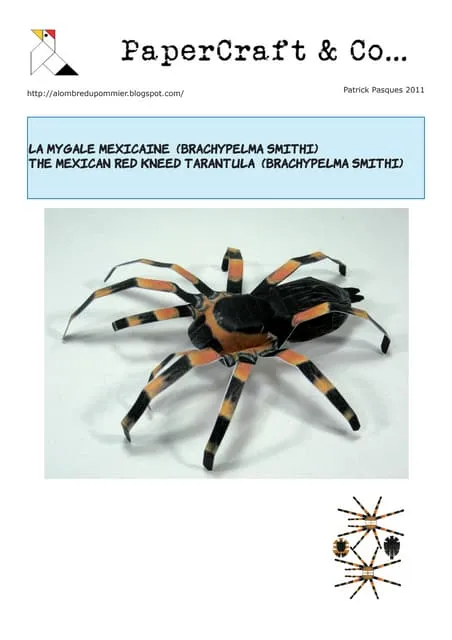 /img/16915-tarantula-setting-up-demo.webp