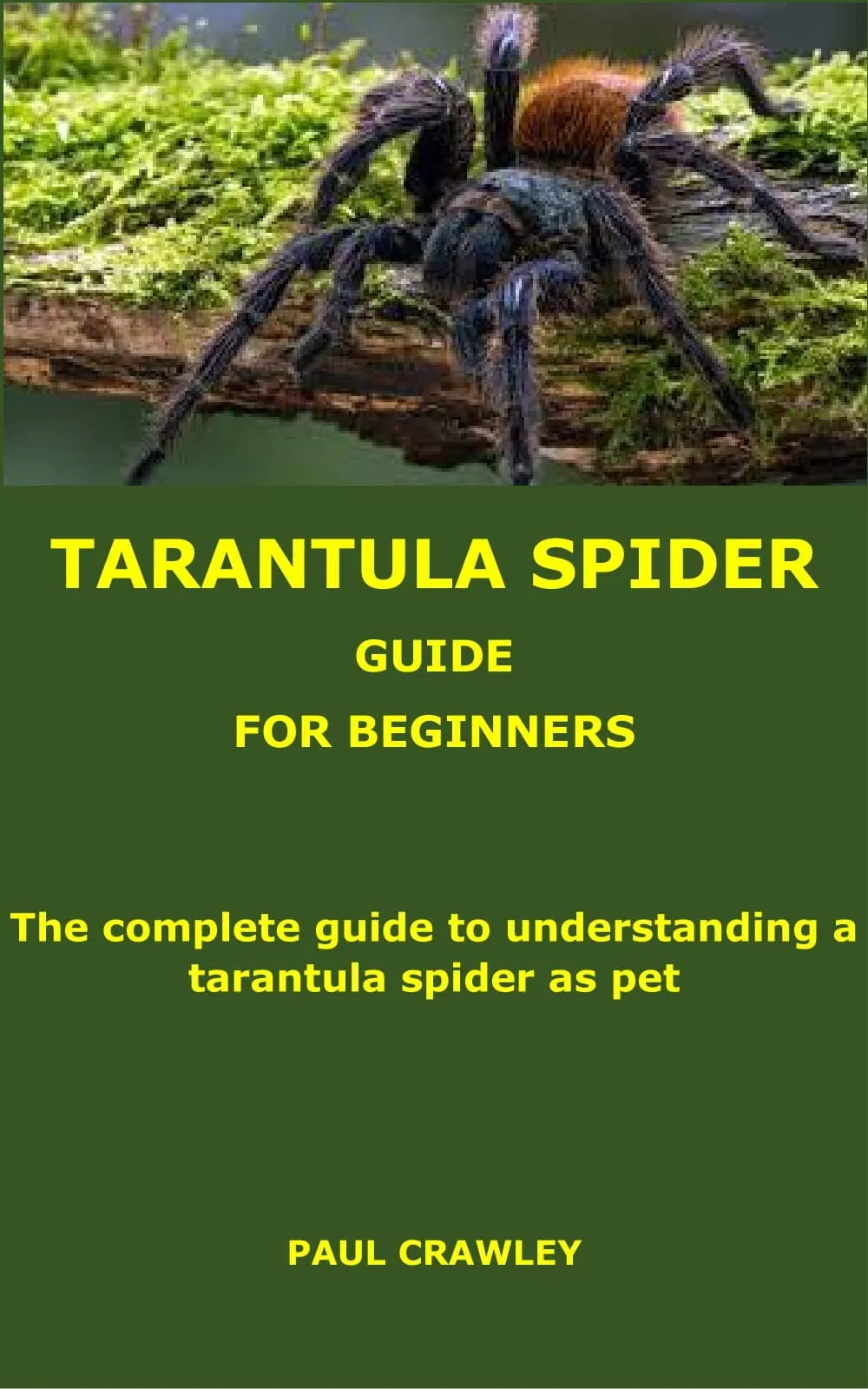 16919 broodfather tarantula enclosure