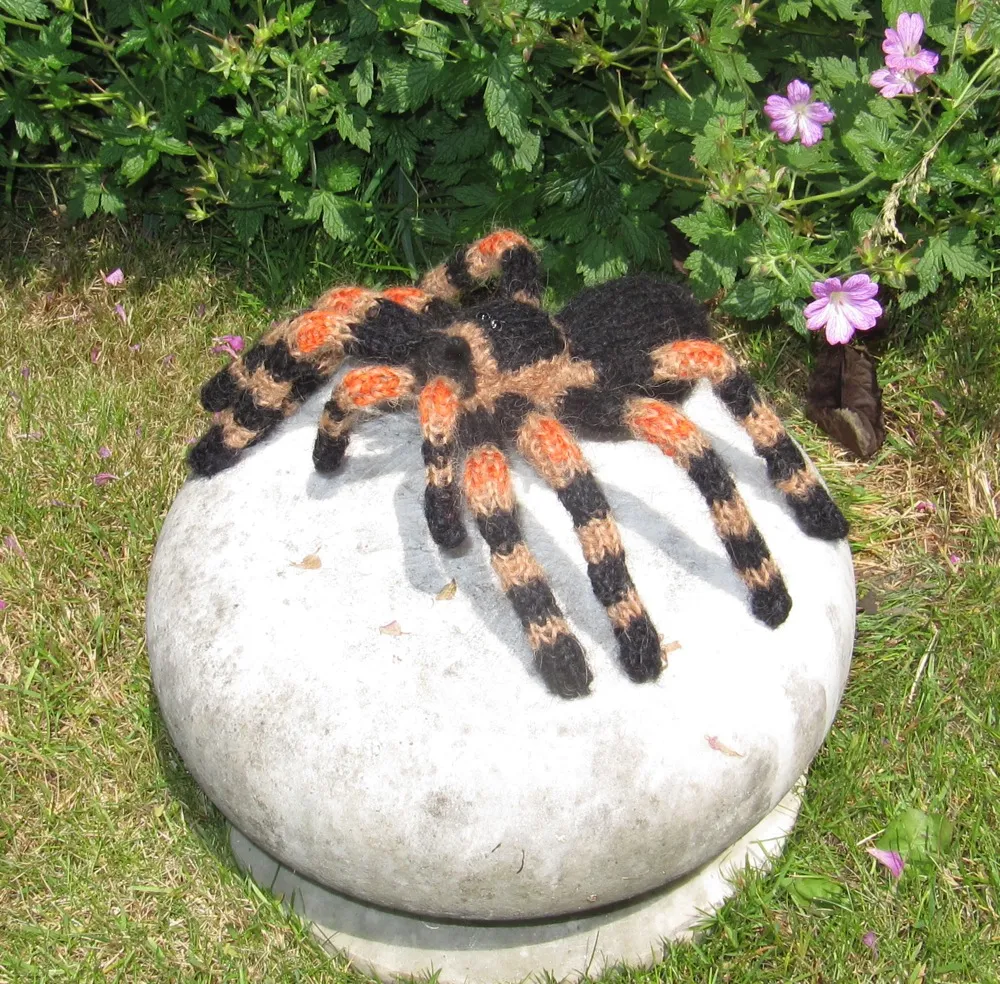 16954 tarantula online shopping