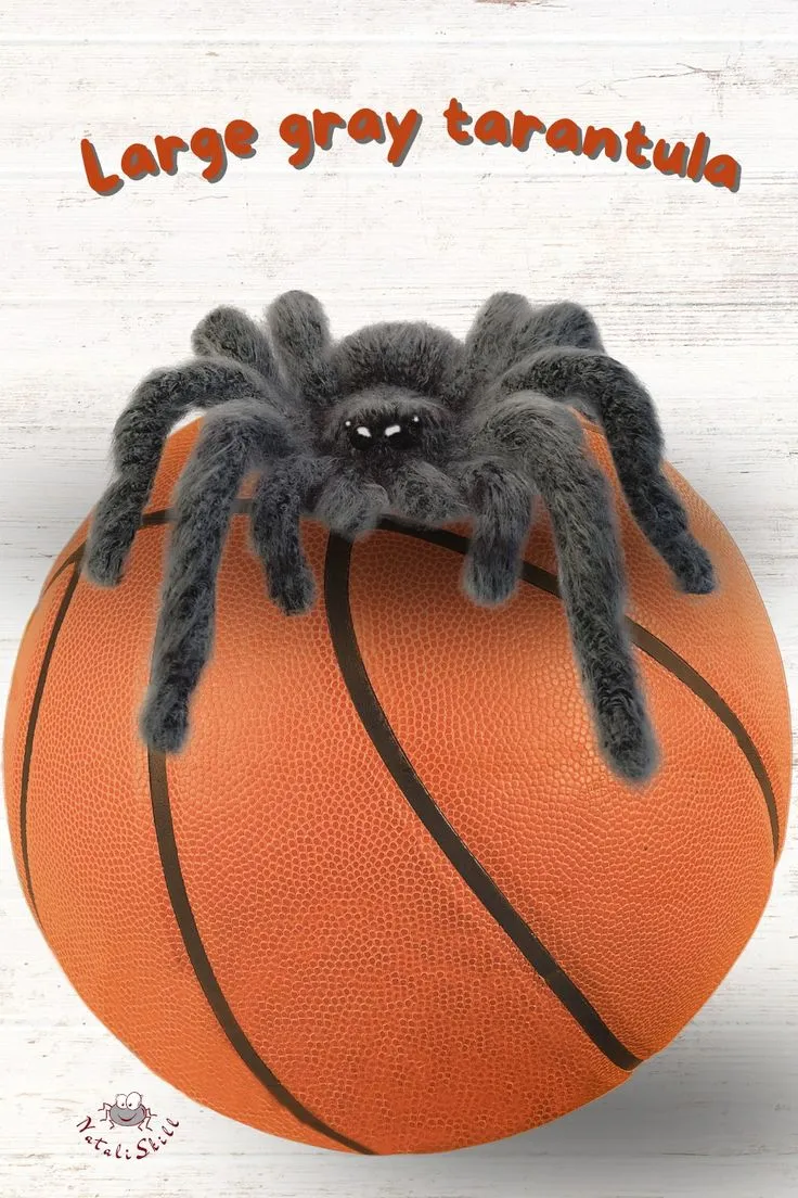 16973 tarantula hunting