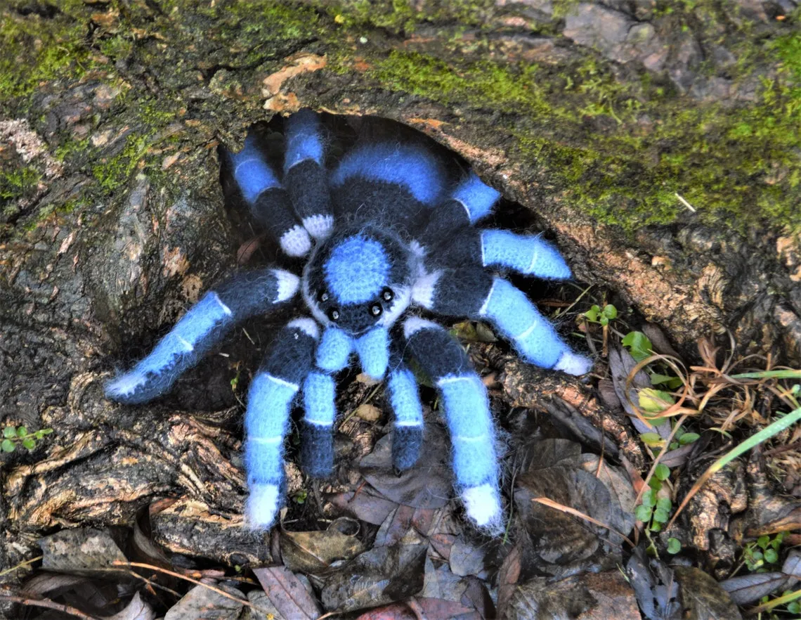 16973 tarantula prey