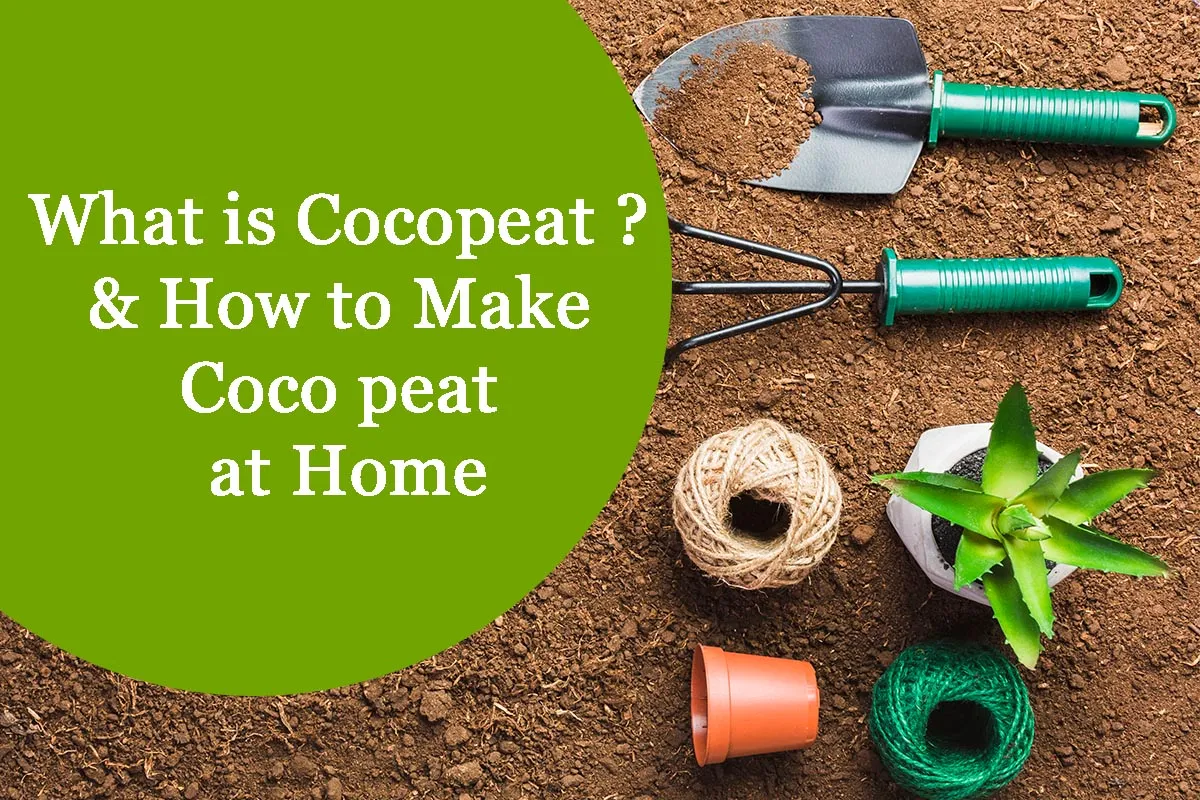 16974 coco peat brick