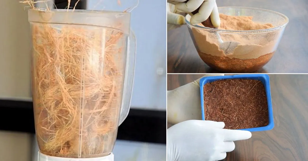 16974 hydrating coco peat