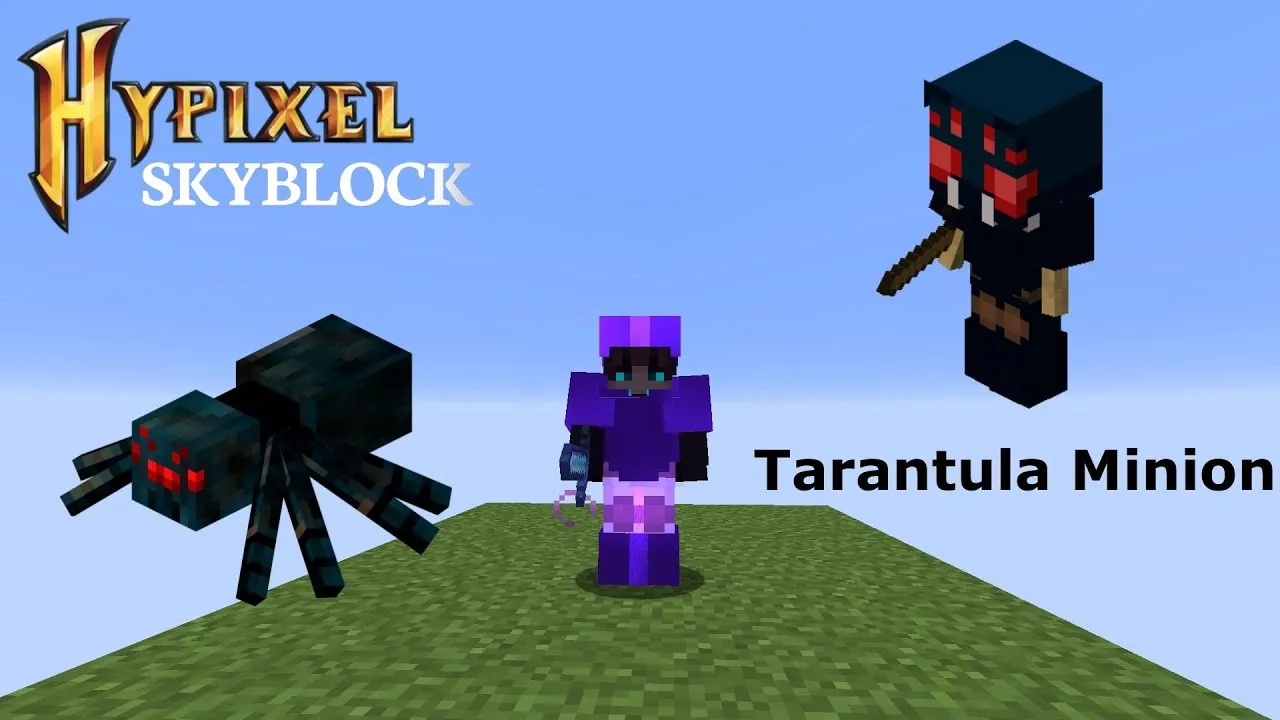 /img/16975-tarantula-care.webp