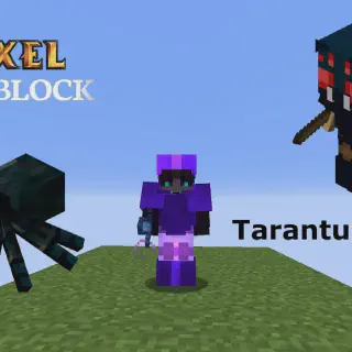 /img/16975-tarantula-care.webp