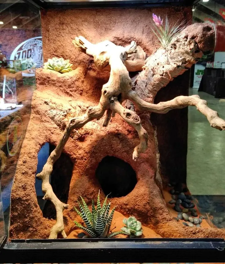 16979 mixing clay for tarantula