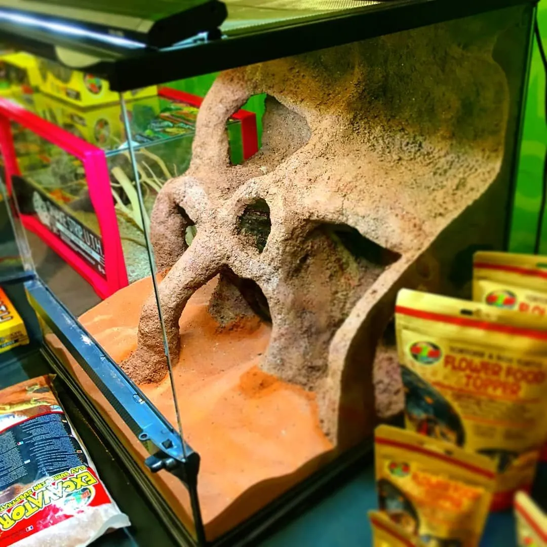 16979 molding tarantula burrow