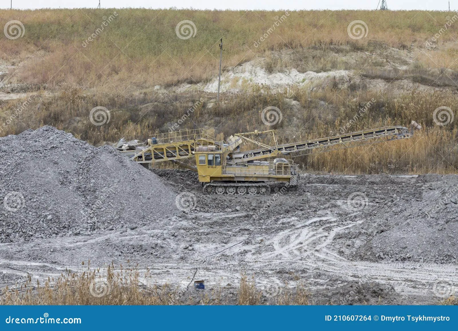 /img/16979-tarantula-clay-burrow-problem.webp