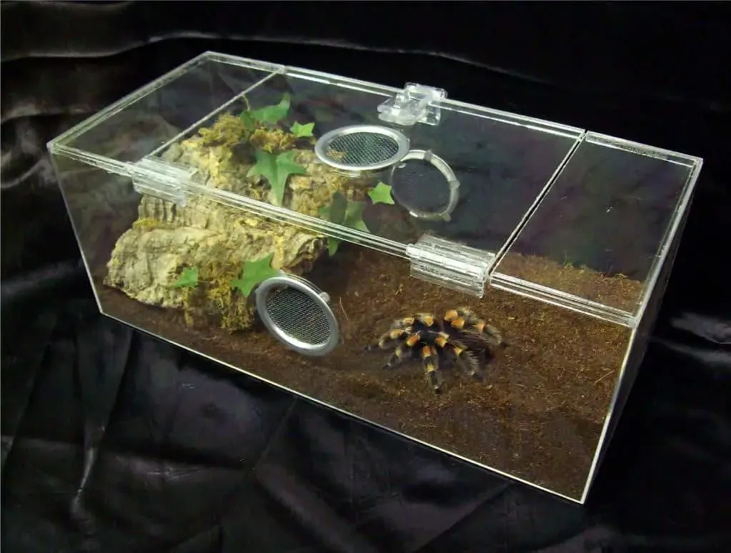 16980 thermostat tarantula