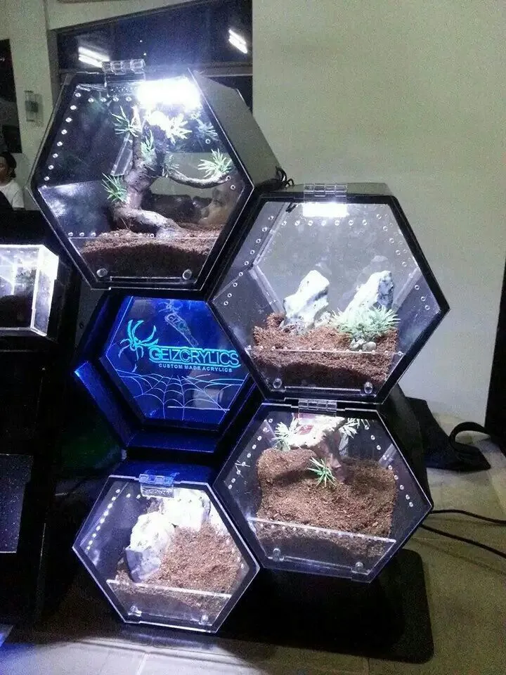16987 tarantula enclosure overview