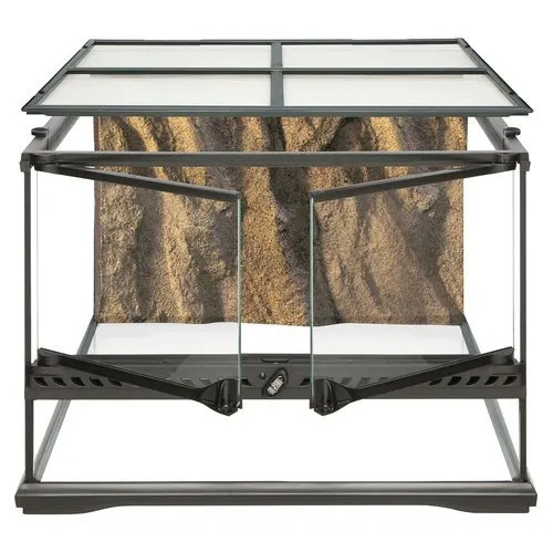 16987 tarantula species enclosure