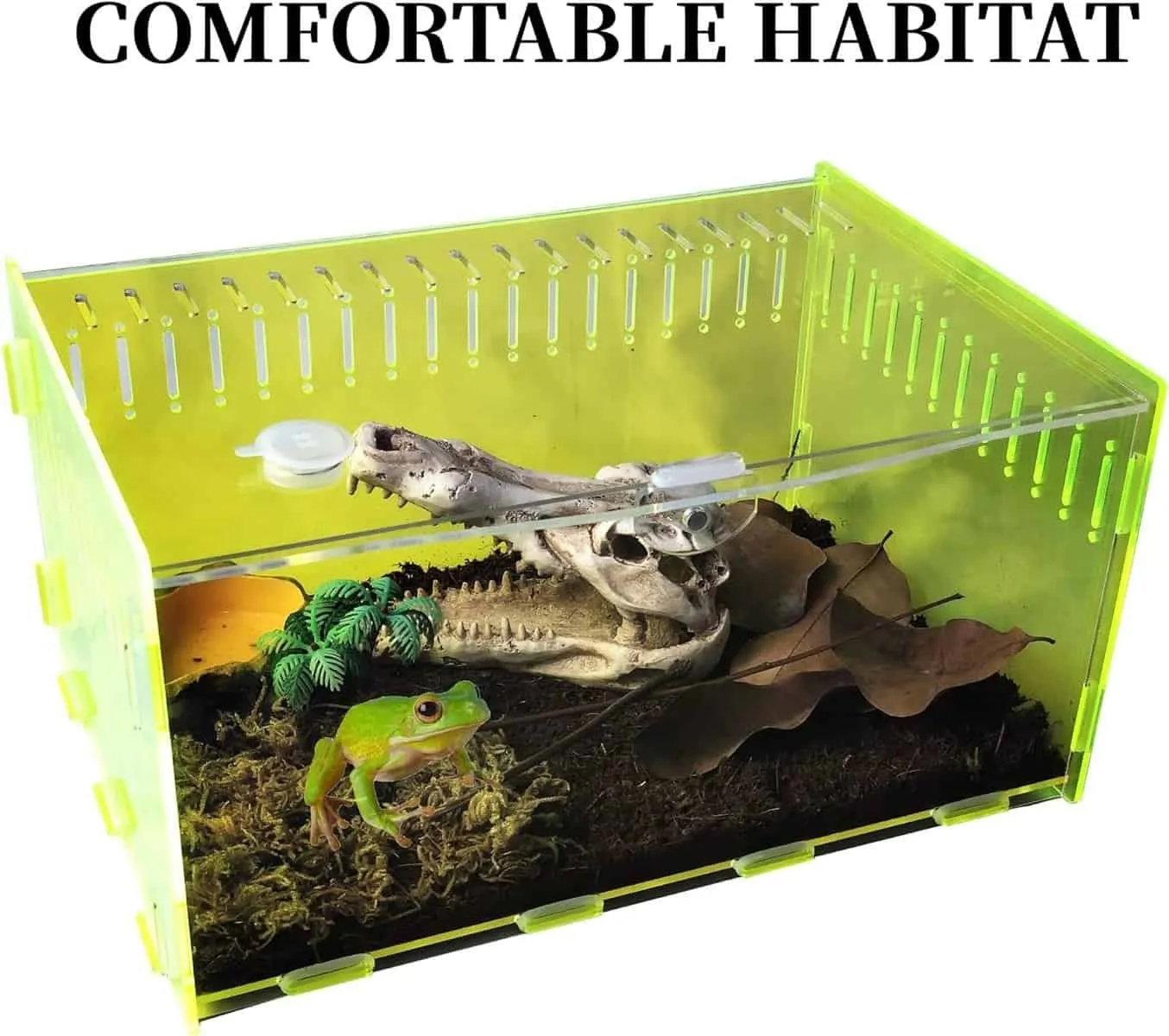 /img/16989-cleaning-tarantula-enclosure.webp