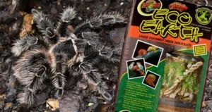 17004 tarantula substrate peat moss