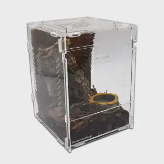 /img/17016-tarantula-health.webp