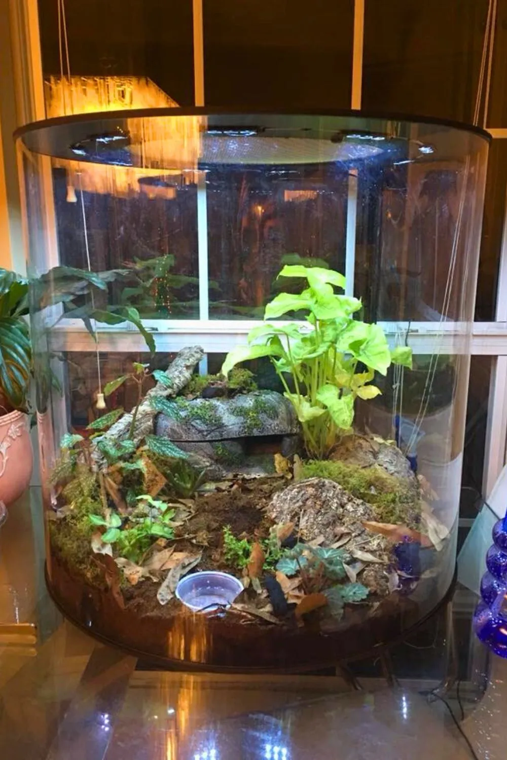 17017 tarantula enclosure substrate
