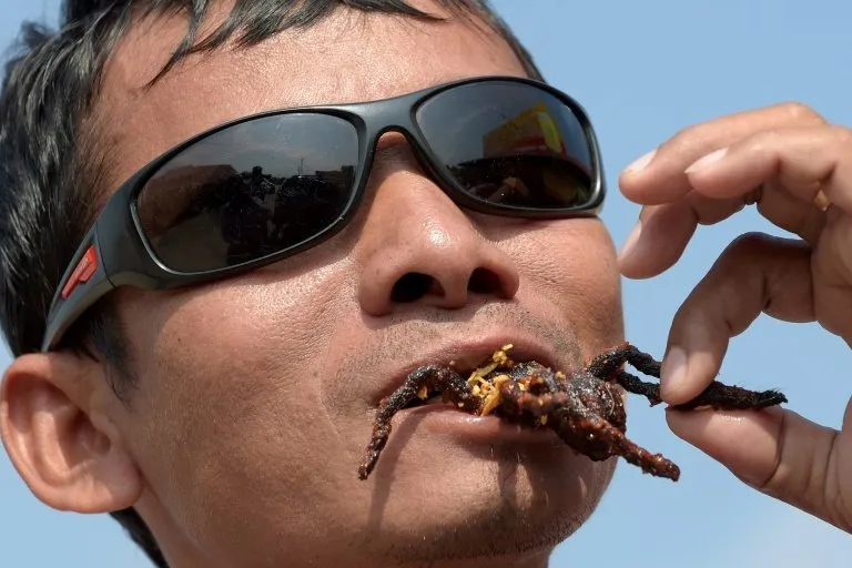 /img/17030-healthy-tarantula.webp