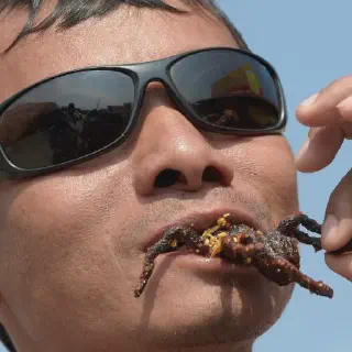 /img/17030-healthy-tarantula.webp