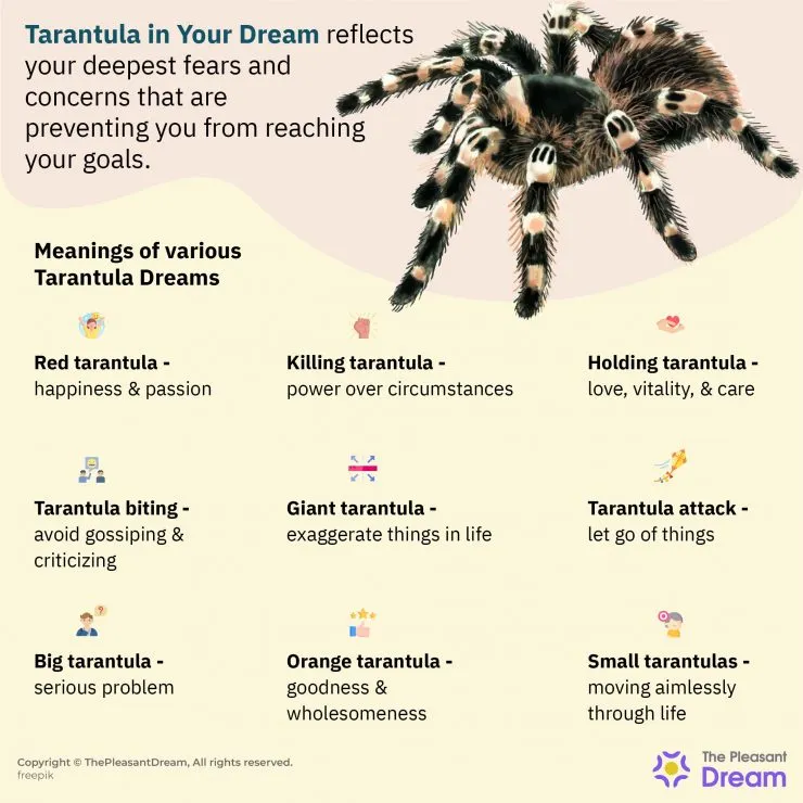 17037 dream tarantula bite 2