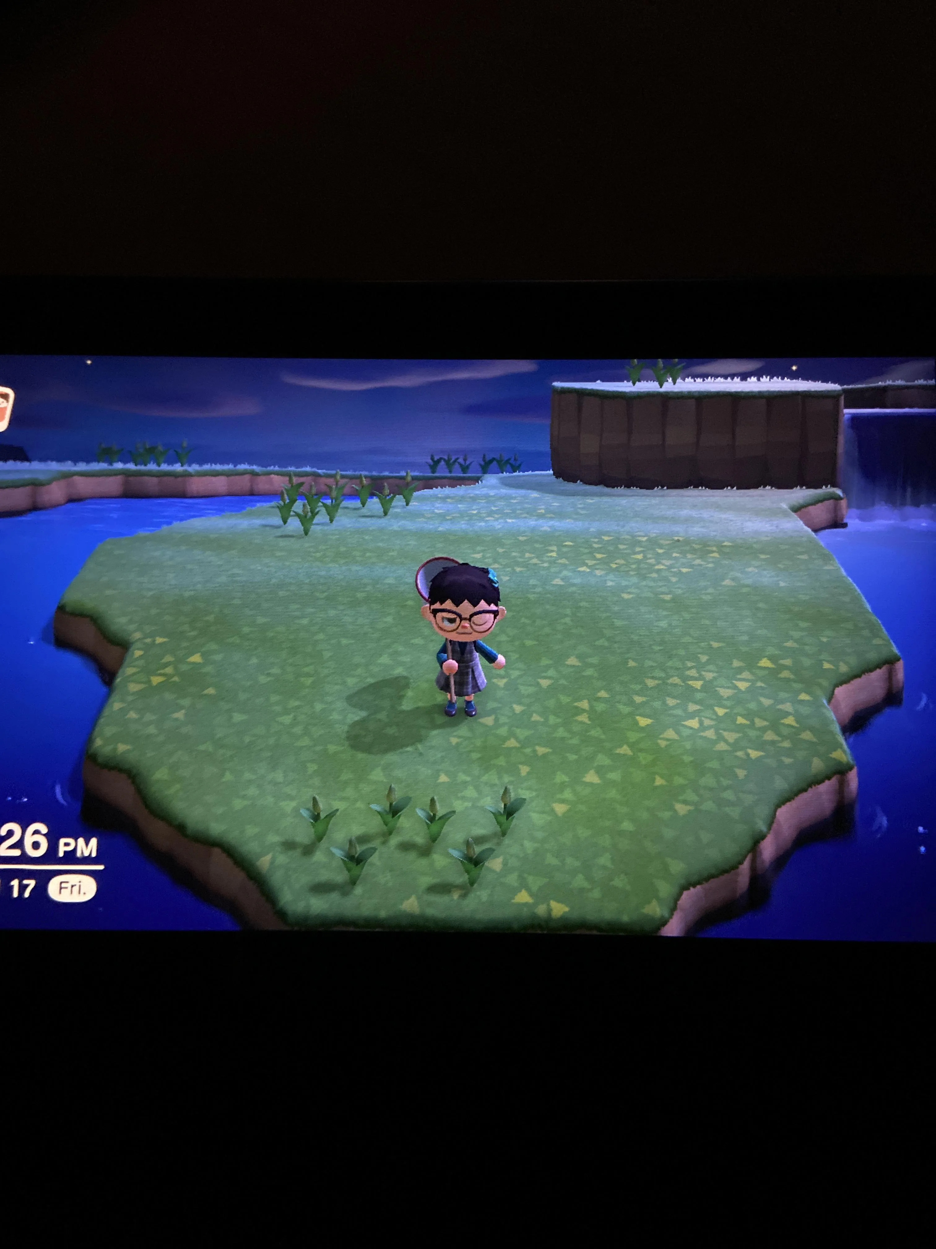 17039 clearing tarantula island