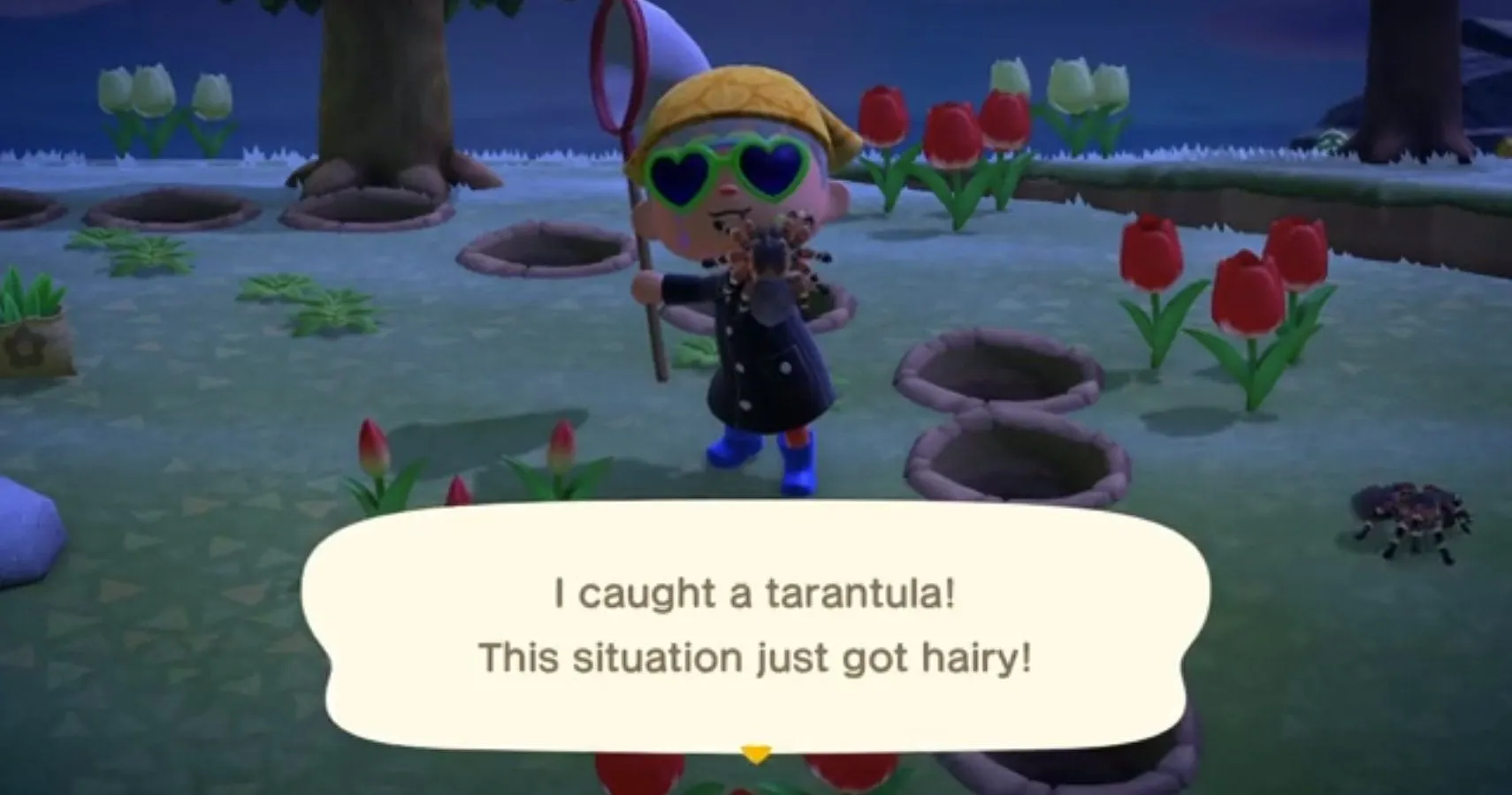 17041 catching tarantulas animal crossing