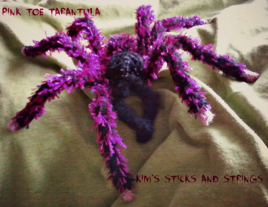 17056 pinktoe tarantula health