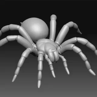 /img/17057-tarantula-enclosure.webp