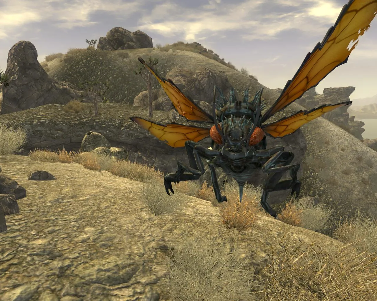 17061 tarantula hawk recovery