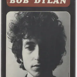 /img/17065-tarantula-dylan-pdf-reading-tips.webp