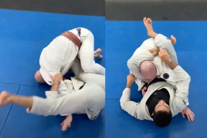 17070 bjj tarantula guard control