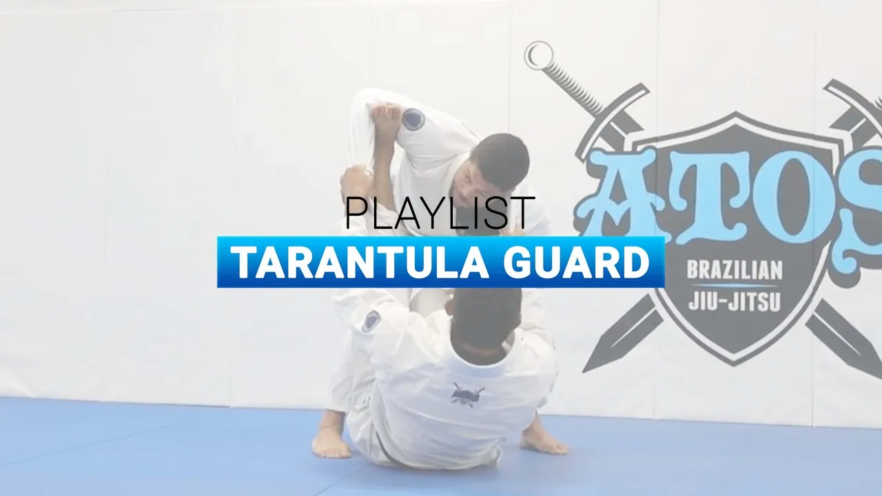 17070 bjj tarantula guard omoplata