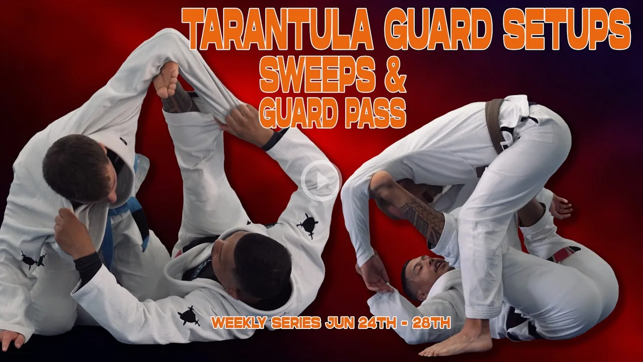 17070 bjj tarantula guard sweep