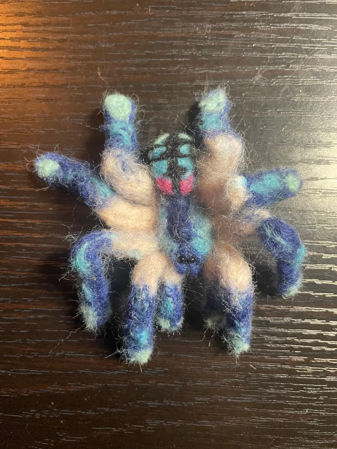 /img/17076-brazilian-jewel-tarantula-eggs.webp