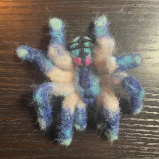 /img/17076-brazilian-jewel-tarantula-eggs.webp