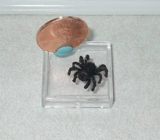 17078 pink toe tarantula substrate