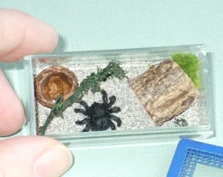 17078 pink toe tarantula ventilation