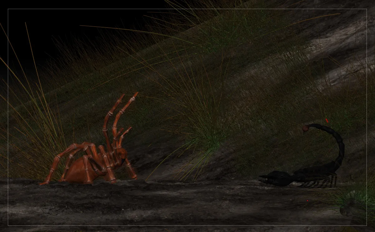 17090 feeding tarantula