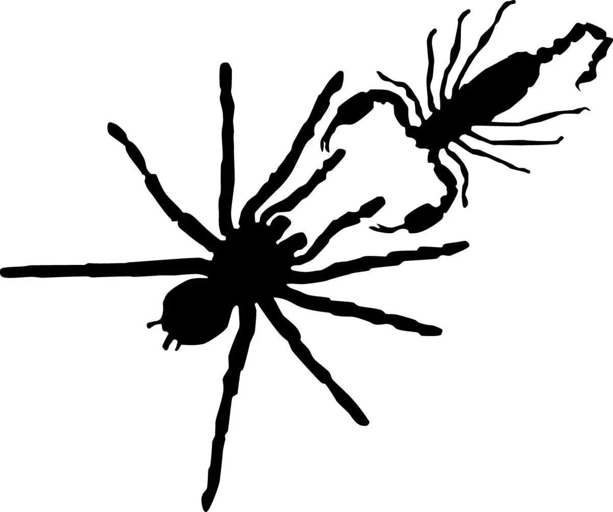17090 tarantula pet intro