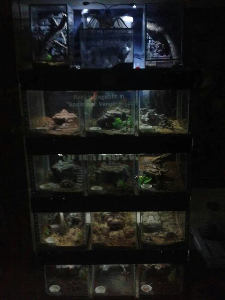 /img/17095-natural-habitat-enclosure.webp