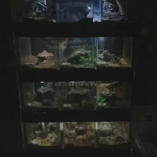 /img/17095-natural-habitat-enclosure.webp