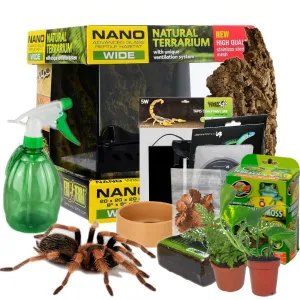 /img/17098-tarantula-minion-tools.webp