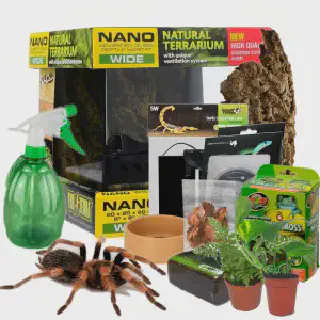 /img/17098-tarantula-minion-tools.webp