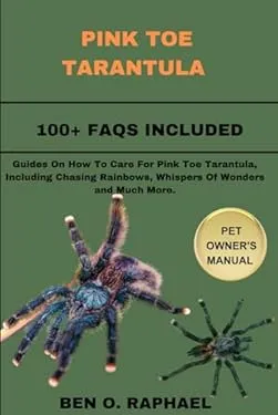 17118 pink toe tarantula decor