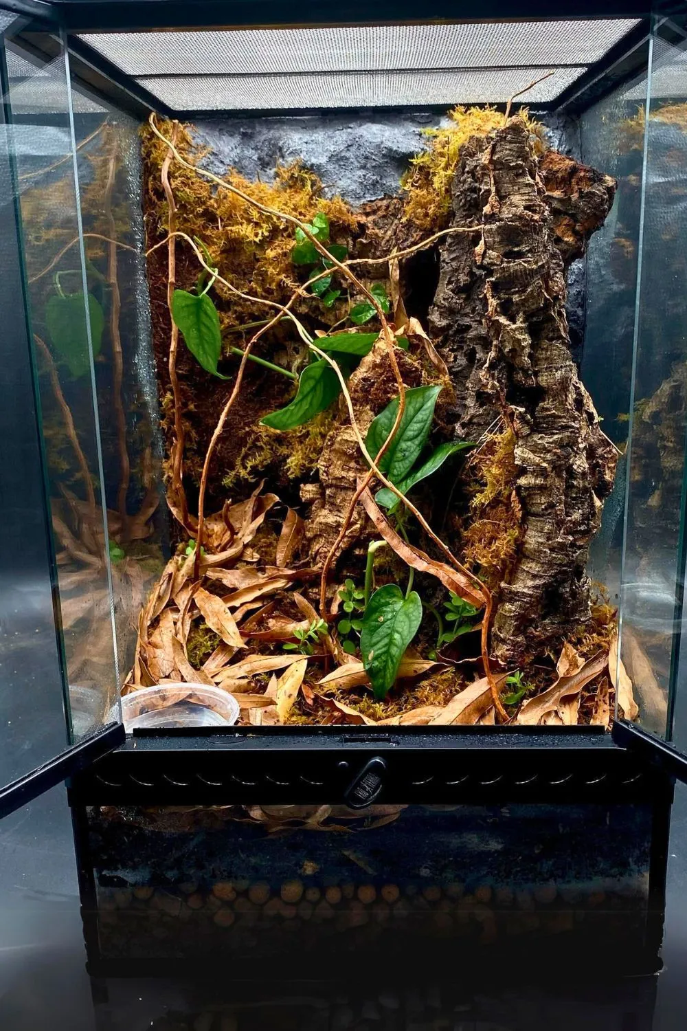 17120 tarantula enclosure substrate