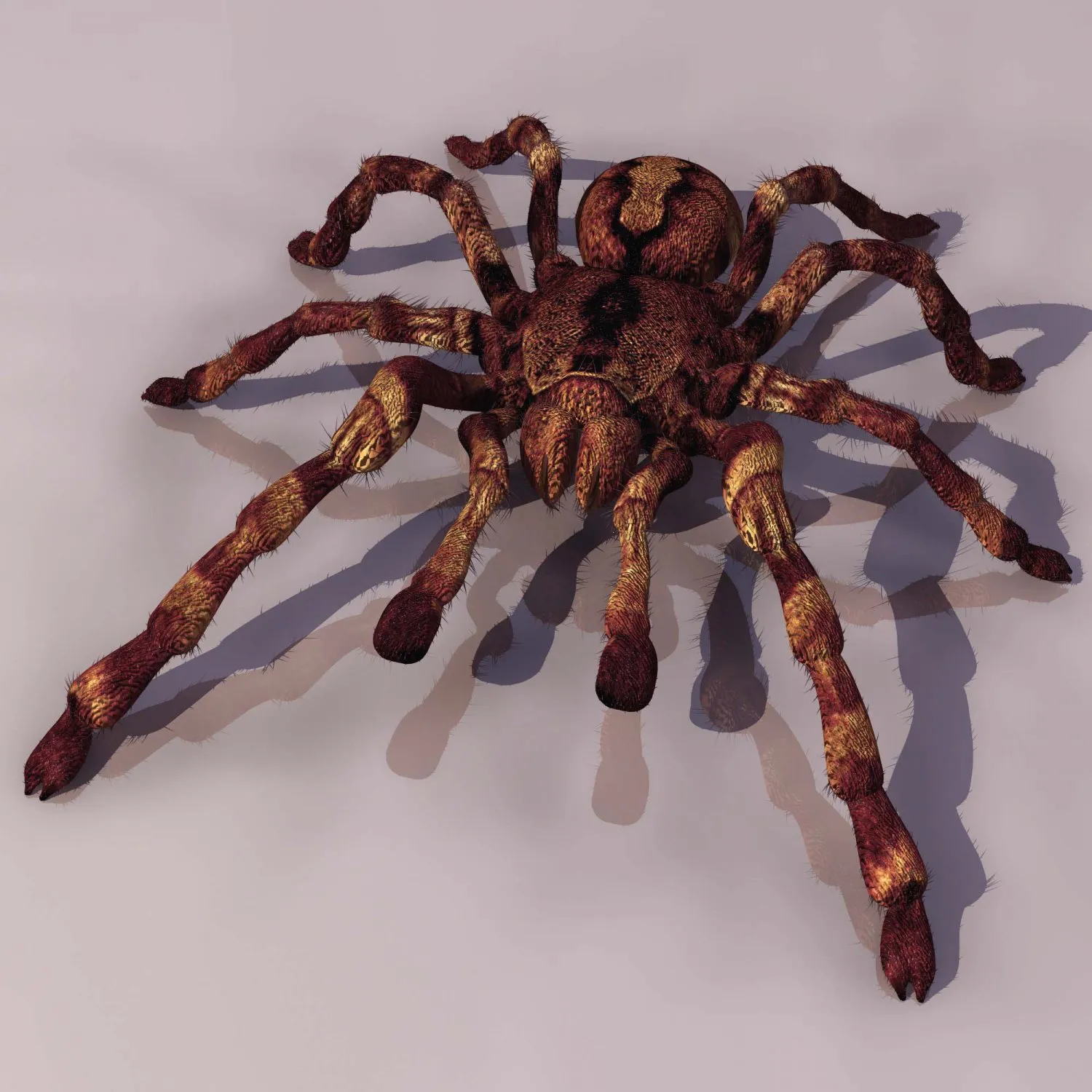 17139 tarantula history