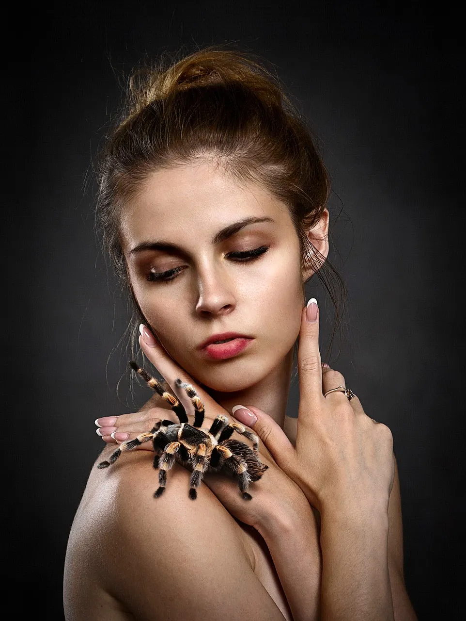 17141 female tarantula molting