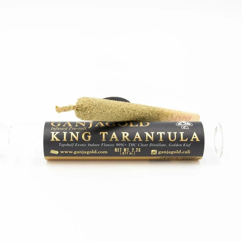 17148 king tarantula pre roll sa