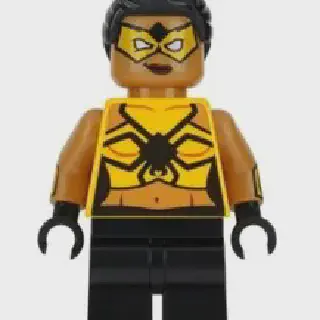 /img/17154-lego-batman-tarantula-playing.webp