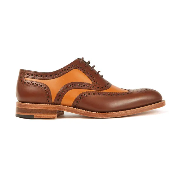 17157 loake tarantula in habitat
