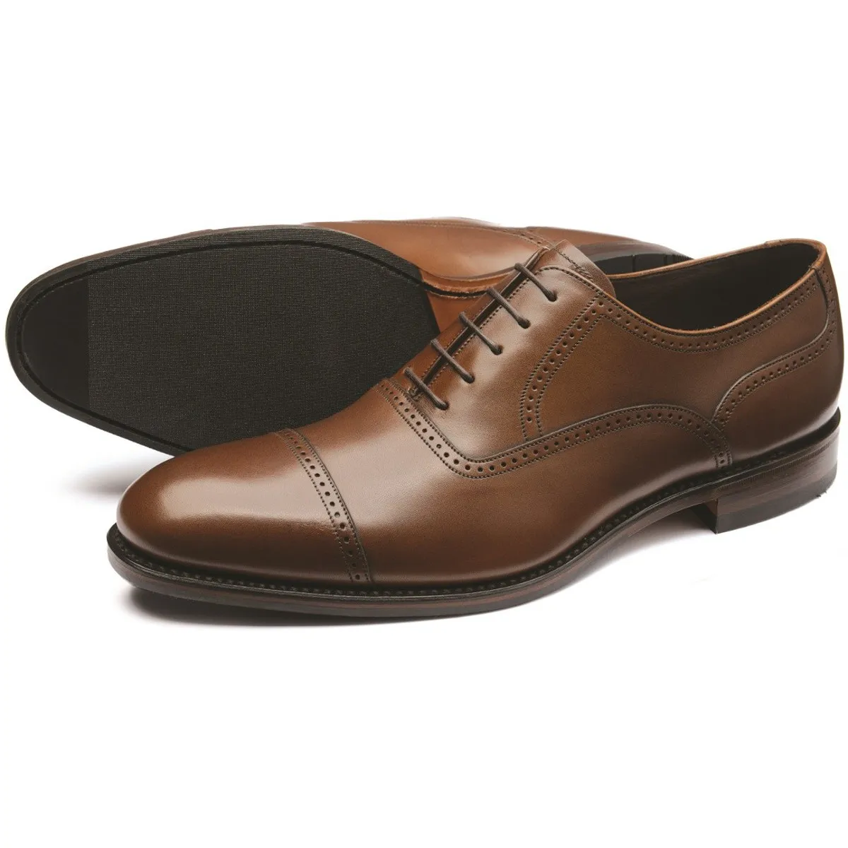 17157 loake tarantula spiderlings